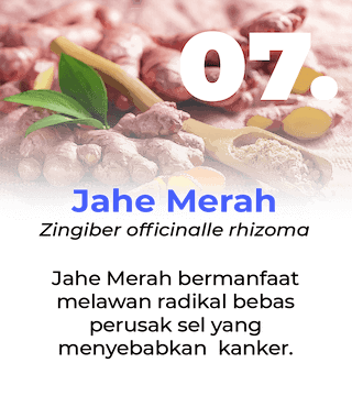 Slide Manfaat Ang Cang Lie Herbal Obat Kanker - Jahe Merah
